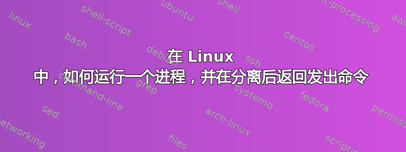 在 Linux 中，如何运行一个进程，并在分离后返回发出命令