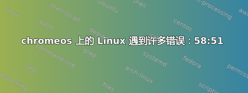 chromeos 上的 Linux 遇到许多错误：58:51