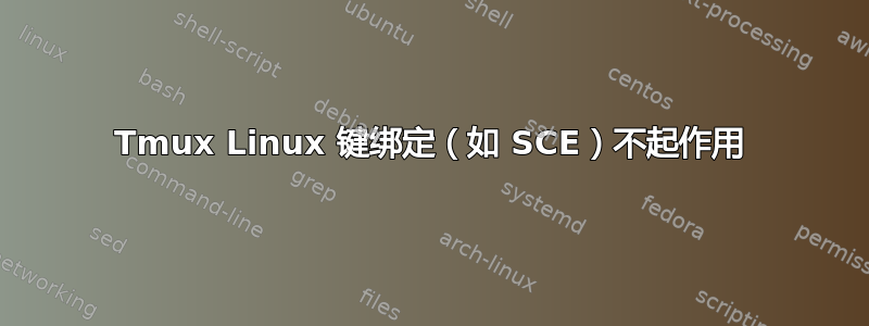 Tmux Linux 键绑定（如 SCE）不起作用