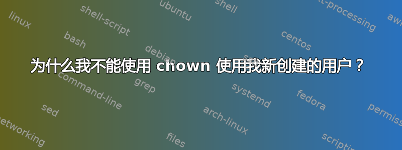 为什么我不能使用 chown 使用我新创建的用户？