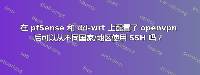 在 pfSense 和 dd-wrt ​​上配置了 openvpn 后可以从不同国家/地区使用 SSH 吗？