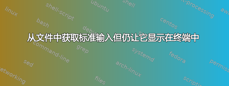 从文件中获取标准输入但仍让它显示在终端中