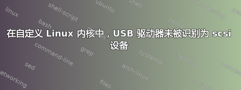 在自定义 Linux 内核中，USB 驱动器未被识别为 scsi 设备