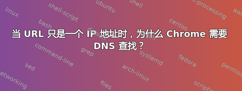 当 URL 只是一个 IP 地址时，为什么 Chrome 需要 DNS 查找？