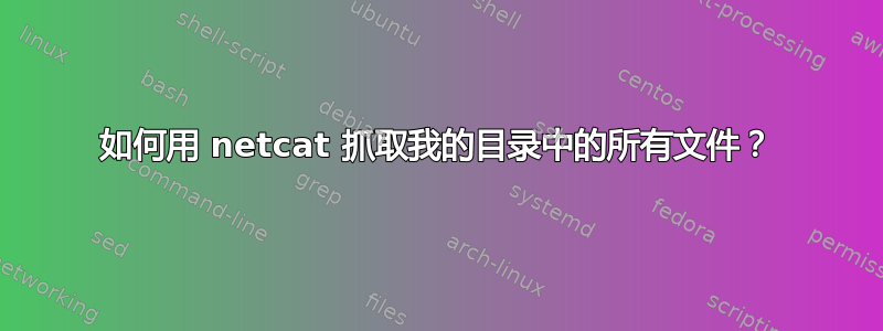 如何用 netcat 抓取我的目录中的所有文件？