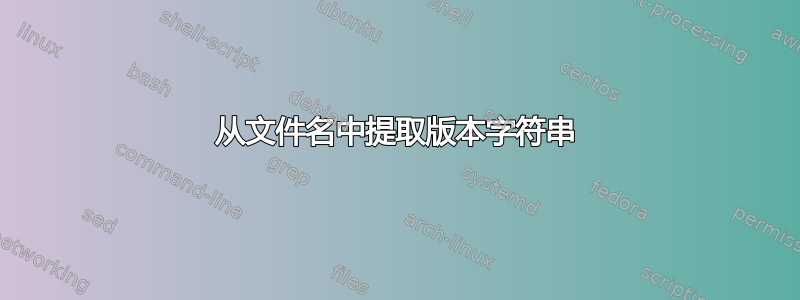 从文件名中提取版本字符串