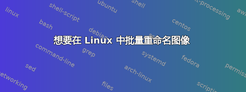 想要在 Linux 中批量重命名图像