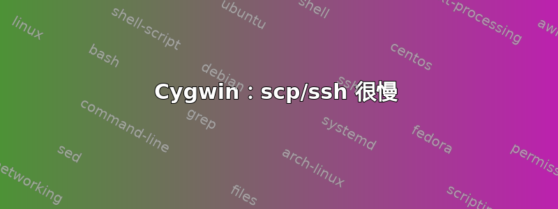 Cygwin：scp/ssh 很慢