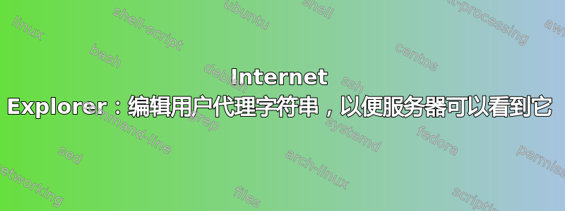 Internet Explorer：编辑用户代理字符串，以便服务器可以看到它