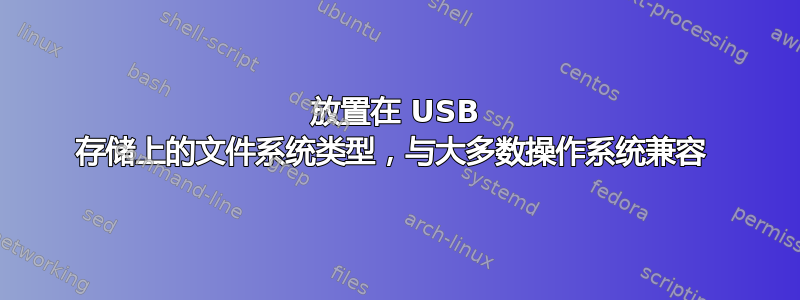 放置在 USB 存储上的文件系统类型，与大多数操作系统兼容 