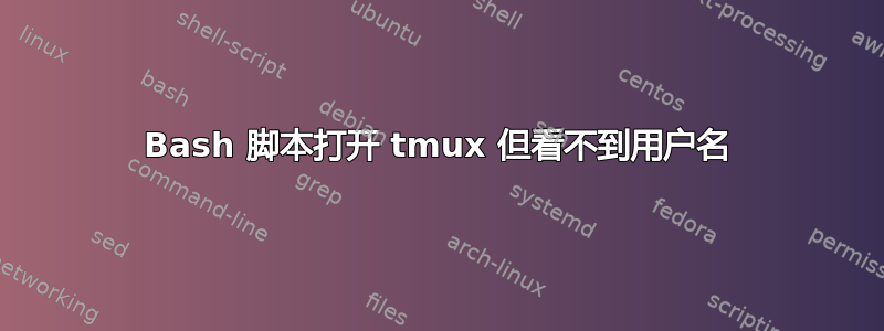 Bash 脚本打开 tmux 但看不到用户名