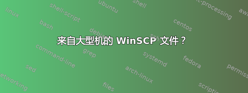 来自大型机的 WinSCP 文件？