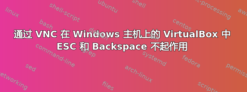 通过 VNC 在 Windows 主机上的 VirtualBox 中 ESC 和 Backspace 不起作用