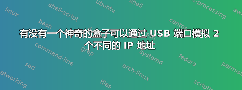 有没有一个神奇的盒子可以通过 USB 端口模拟 2 个不同的 IP 地址