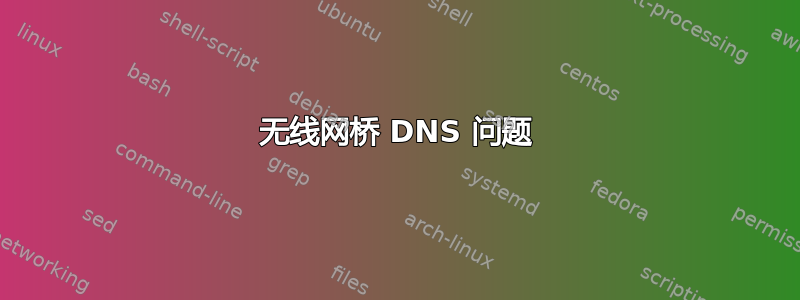 无线网桥 DNS 问题