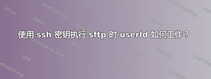 使用 ssh 密钥执行 sftp 时 userId 如何工作？