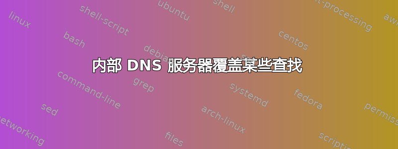 内部 DNS 服务器覆盖某些查找