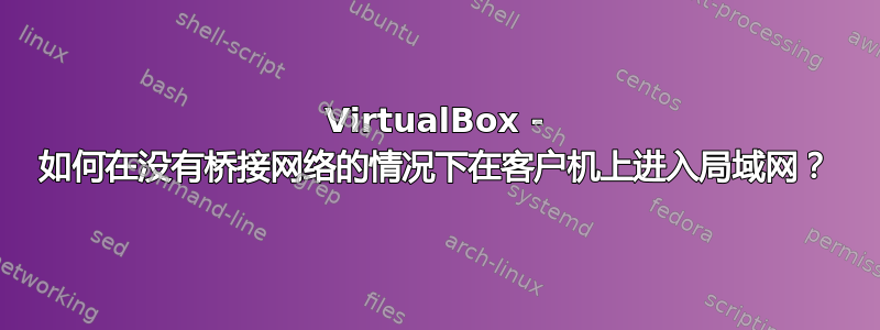 VirtualBox - 如何在没有桥接网络的情况下在客户机上进入局域网？