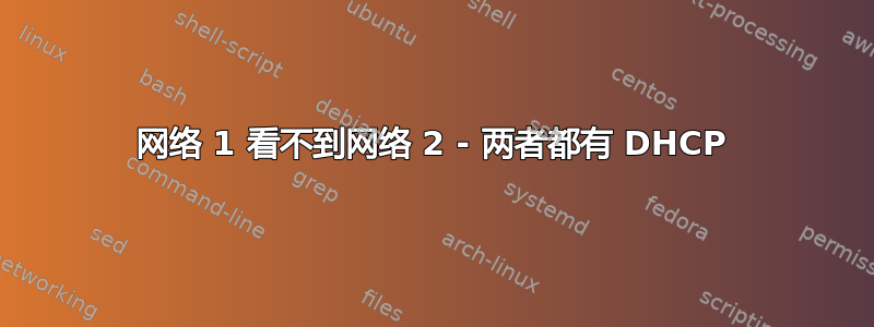 网络 1 看不到网络 2 - 两者都有 DHCP