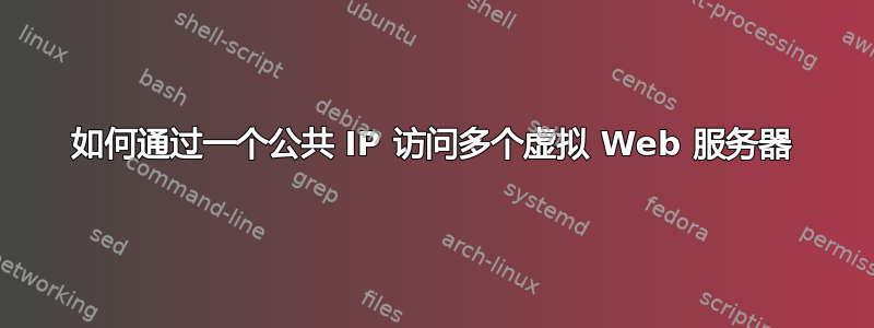 如何通过一个公共 IP 访问多个虚拟 Web 服务器