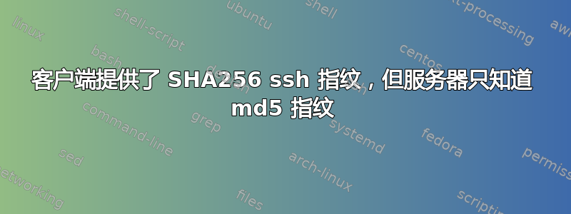 客户端提供了 SHA256 ssh 指纹，但服务器只知道 md5 指纹