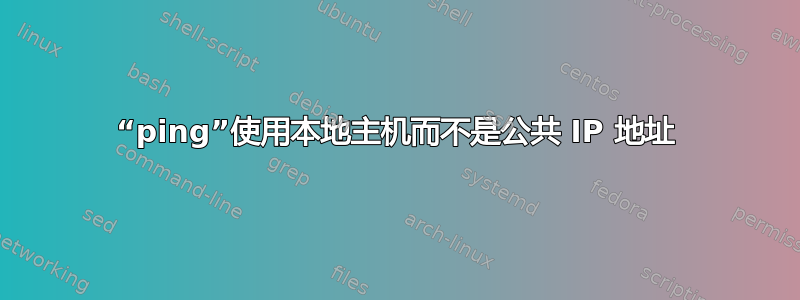 “ping”使用本地主机而不是公共 IP 地址