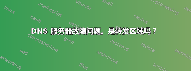 DNS 服务器故障问题。是转发区域吗？