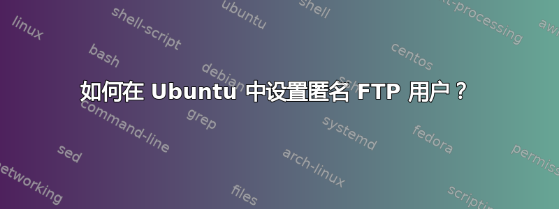 如何在 Ubuntu 中设置匿名 FTP 用户？