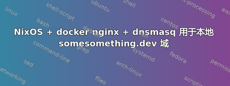 NixOS + docker nginx + dnsmasq 用于本地 somesomething.dev 域