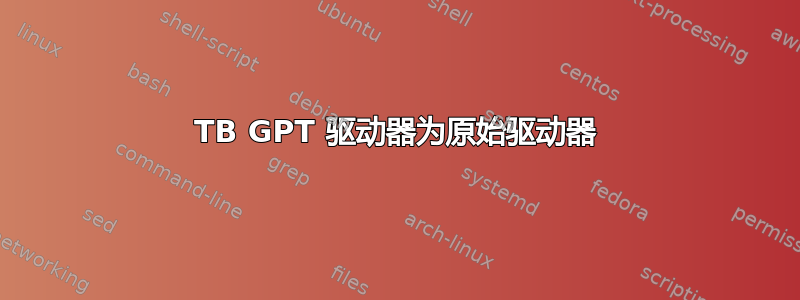 4TB GPT 驱动器为原始驱动器