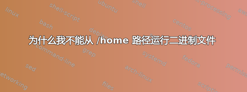 为什么我不能从 /home 路径运行二进制文件