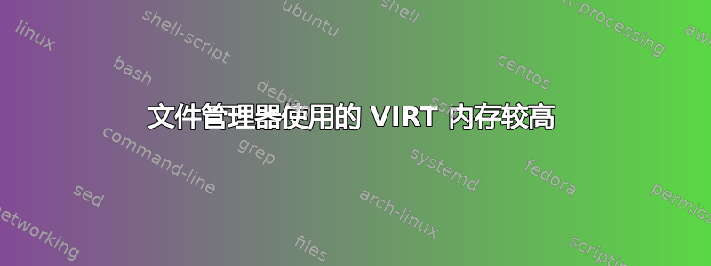 文件管理器使用的 VIRT 内存较高