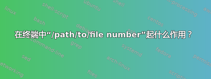 在终端中“/path/to/file number”起什么作用？