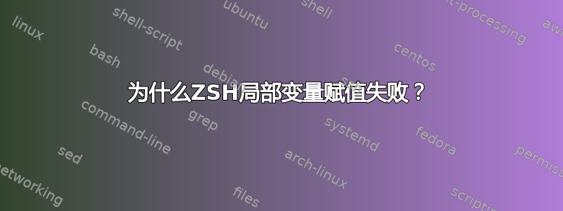 为什么ZSH局部变量赋值失败？