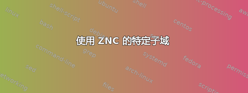 使用 ZNC 的特定子域