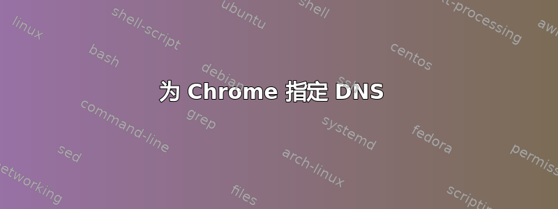 为 Chrome 指定 DNS 