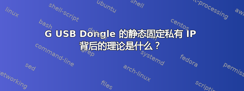 3G USB Dongle 的静态固定私有 IP 背后的理论是什么？