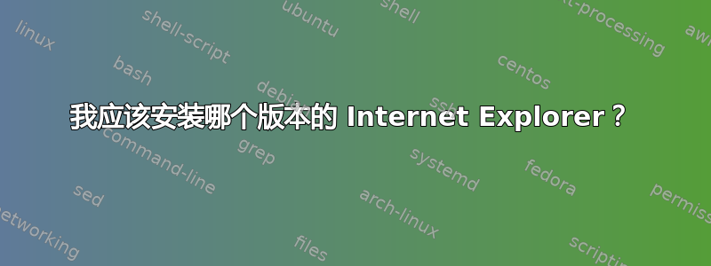 我应该安装哪个版本的 Internet Explorer？