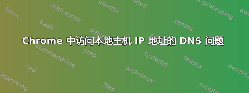 Chrome 中访问本地主机 IP 地址的 DNS 问题