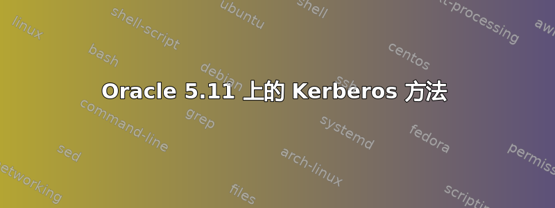 Oracle 5.11 上的 Kerberos 方法