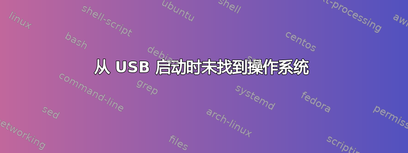 从 USB 启动时未找到操作系统