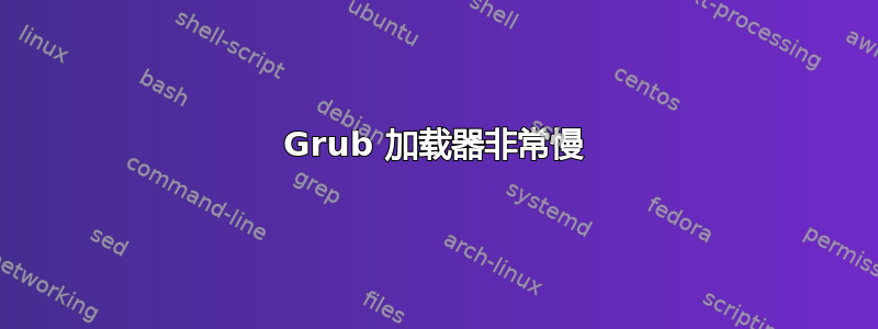 Grub 加载器非常慢