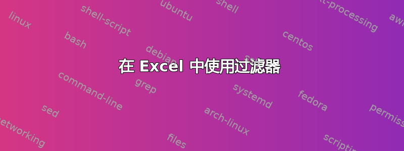 在 Excel 中使用过滤器