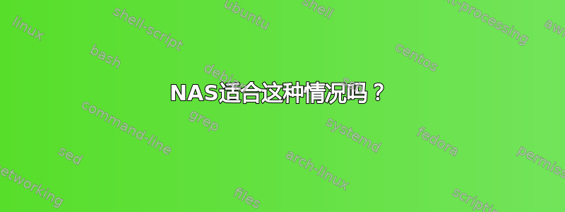 NAS适合这种情况吗？