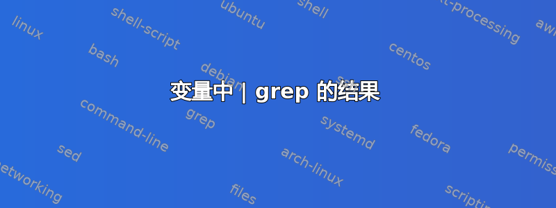 变量中 | grep 的结果