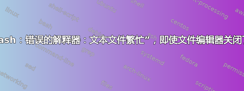 “/bin/bash：错误的解释器：文本文件繁忙”，即使文件编辑器关闭了该文件