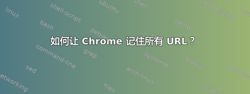 如何让 Chrome 记住所有 URL？