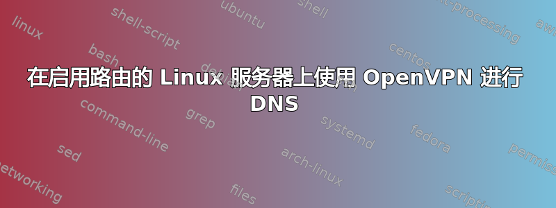 在启用路由的 Linux 服务器上使用 OpenVPN 进行 DNS