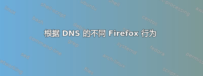 根据 DNS 的不同 Firefox 行为