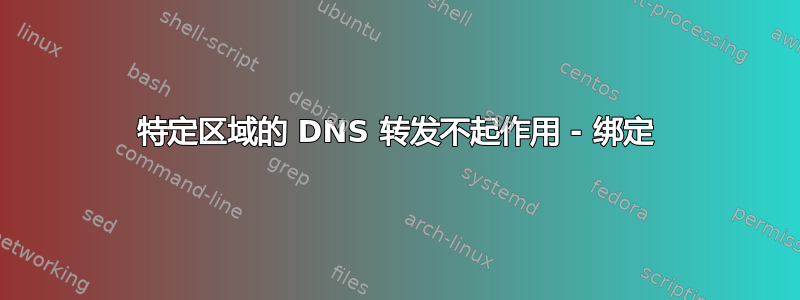 特定区域的 DNS 转发不起作用 - 绑定